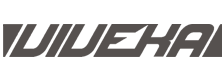 Viveka Gym